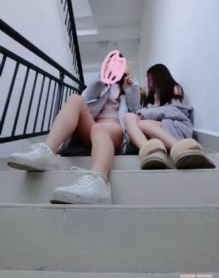 蘑菇视频风险板_高清完整版